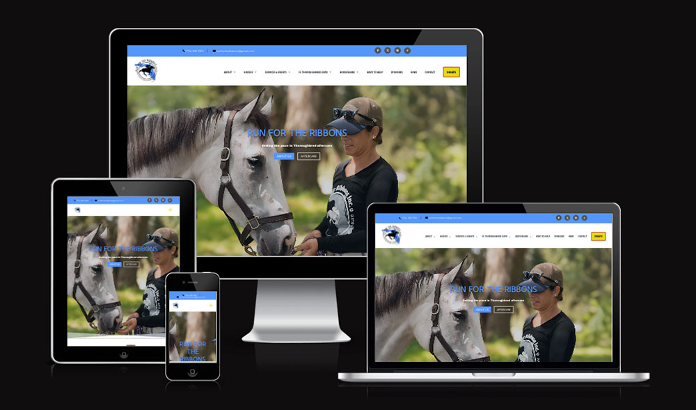 Responsive views for Run For The Ribbons